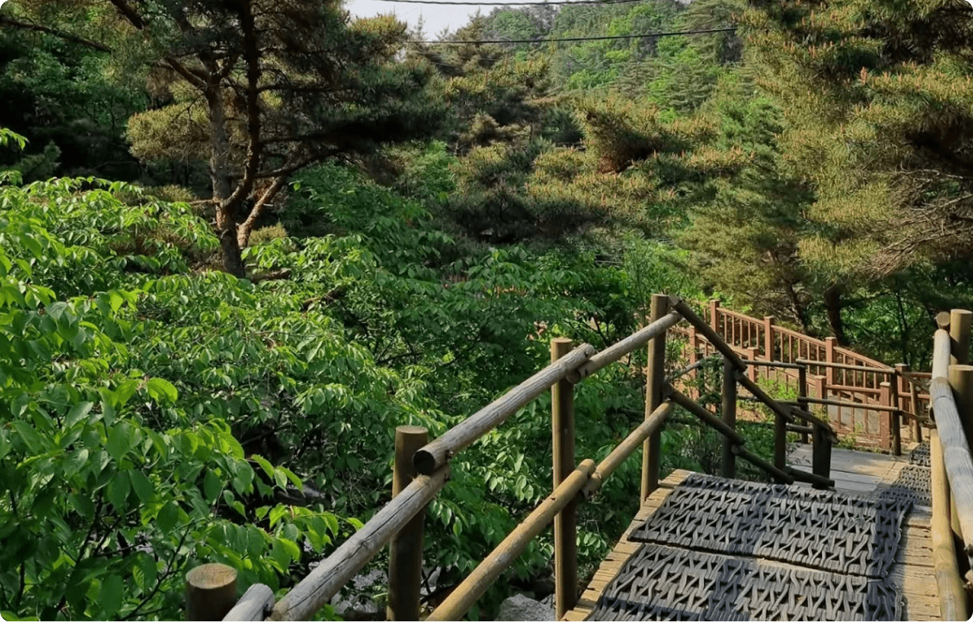 Gemini_Generated_Image_vpd6rbvpd6rbvpd6 (1)-10